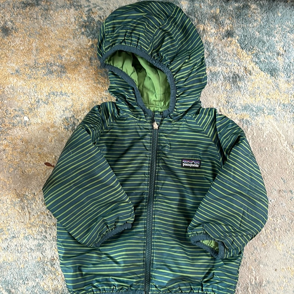 Patagonia Hooded Down Sweater 12-18m